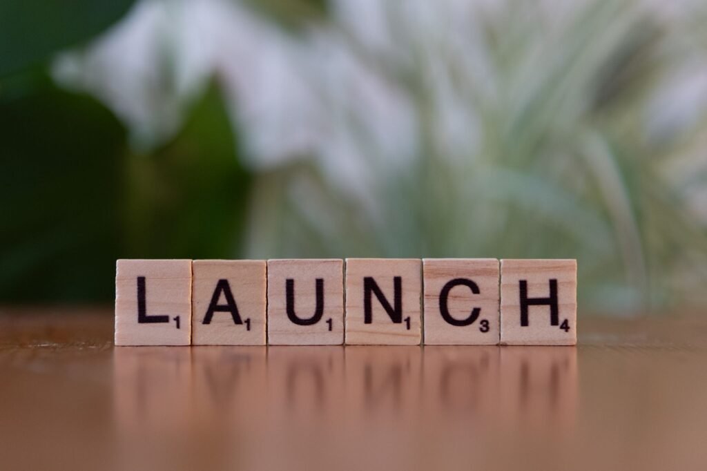 Building an MVP on WordPress: what to skip, what to ship